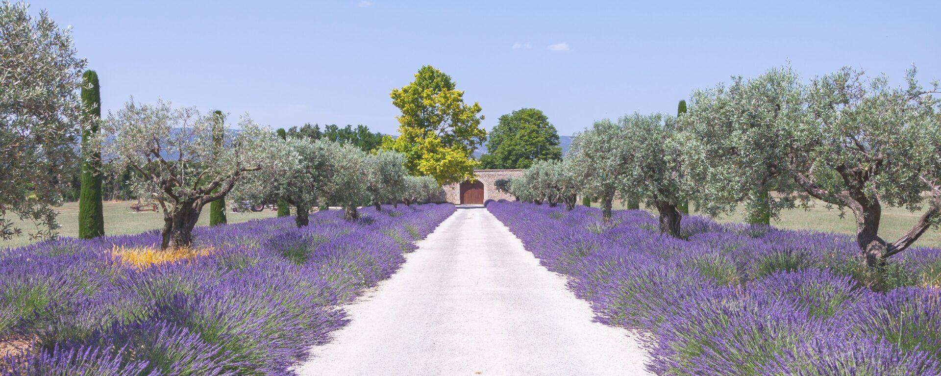 Inserir um subtítulo (1920 x 900 px) (1920 x 1920 px)